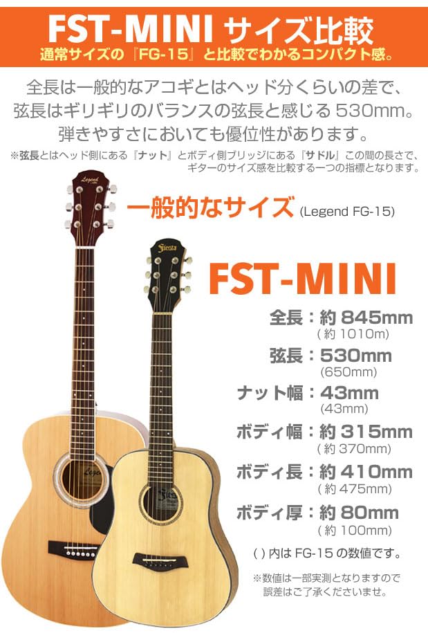 アコースティックギター　Fiesta FST MINI N 専用ケース付き fstmini-n1.jpg